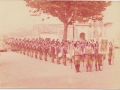 1976 (7)
