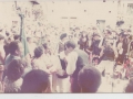 1981 (3)